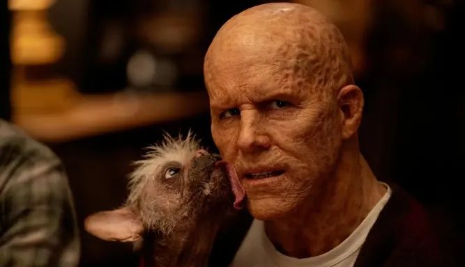 640?wx_fmt=jpeg&from=appmsg ͼƬ