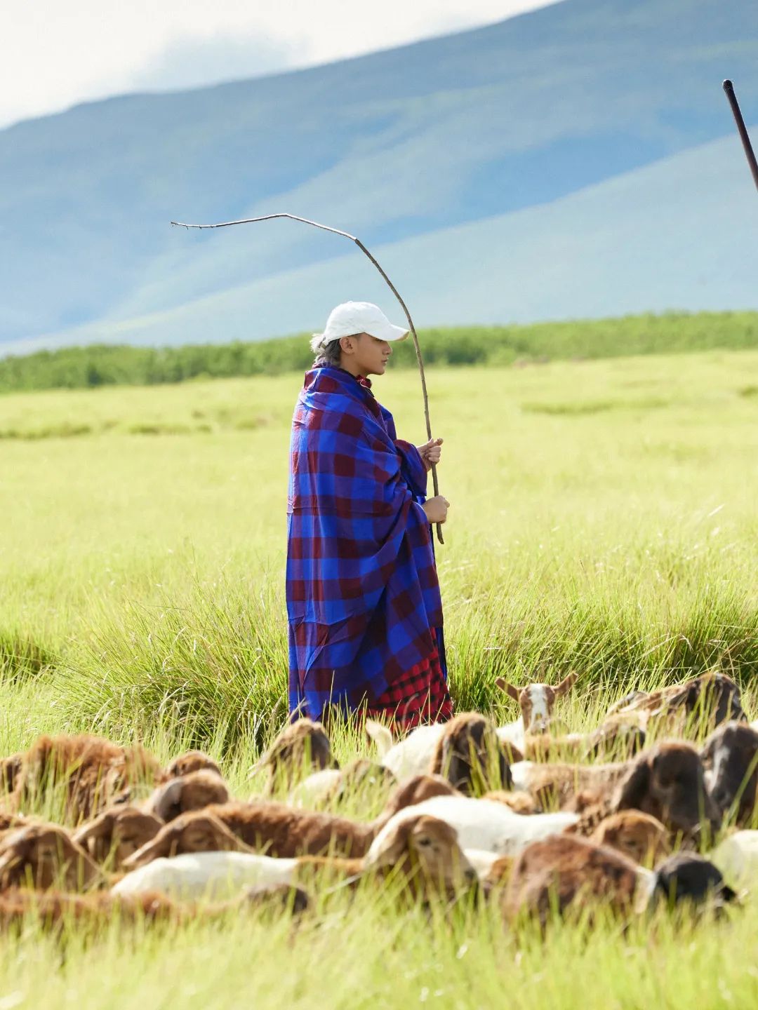 640?wx_fmt=jpeg ͼƬ