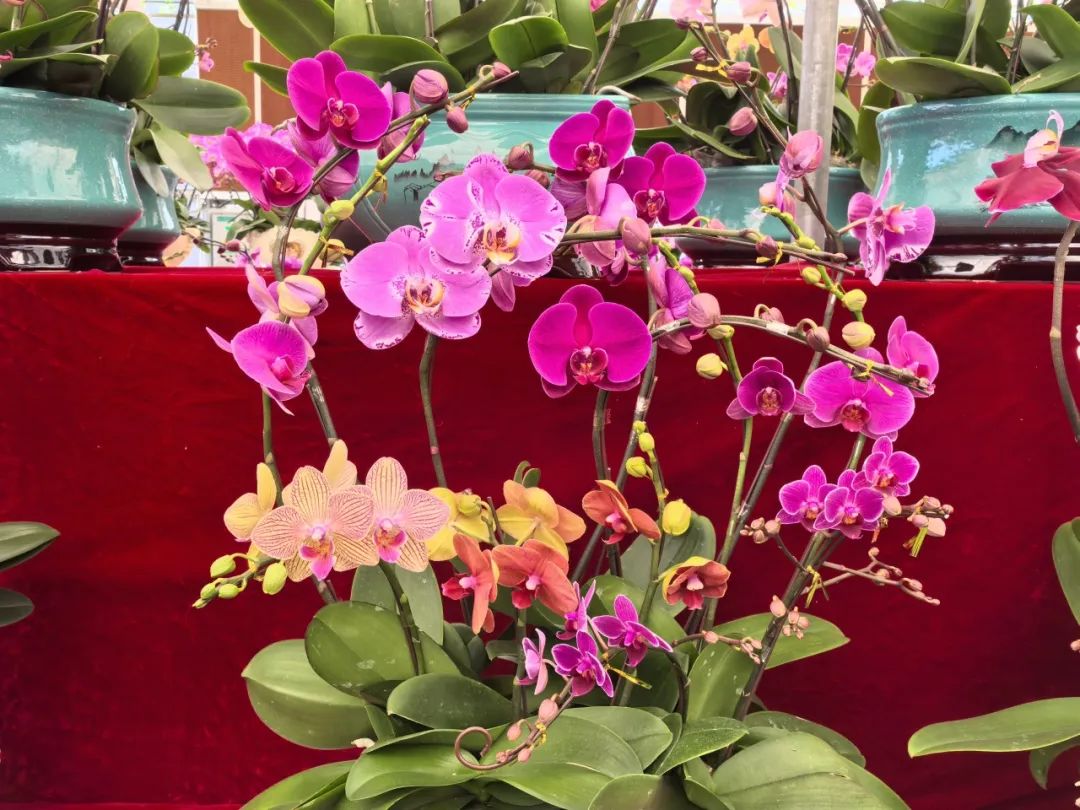 640?wx_fmt=jpeg ͼƬ